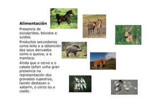 Alimentación
Presencia de
ovicápridos, bóvidos e
suídos.
Productos secundarios
coma leite e a obtención
dos seus derivados...