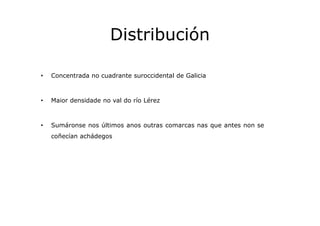 Distribución
•

Concentrada no cuadrante suroccidental de Galicia

•

Maior densidade no val do río Lérez

•

Sumáronse no...