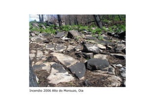 Incendio 2006 Alto do Morouzo, Oia

 