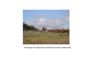 Emprego de maquinaria pesada de xeito inadecuado

 