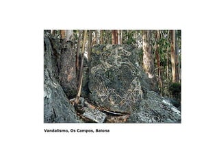 Vandalismo, Os Campos, Baiona

 