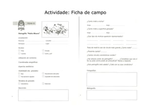 Actividade: Ficha de campo

 