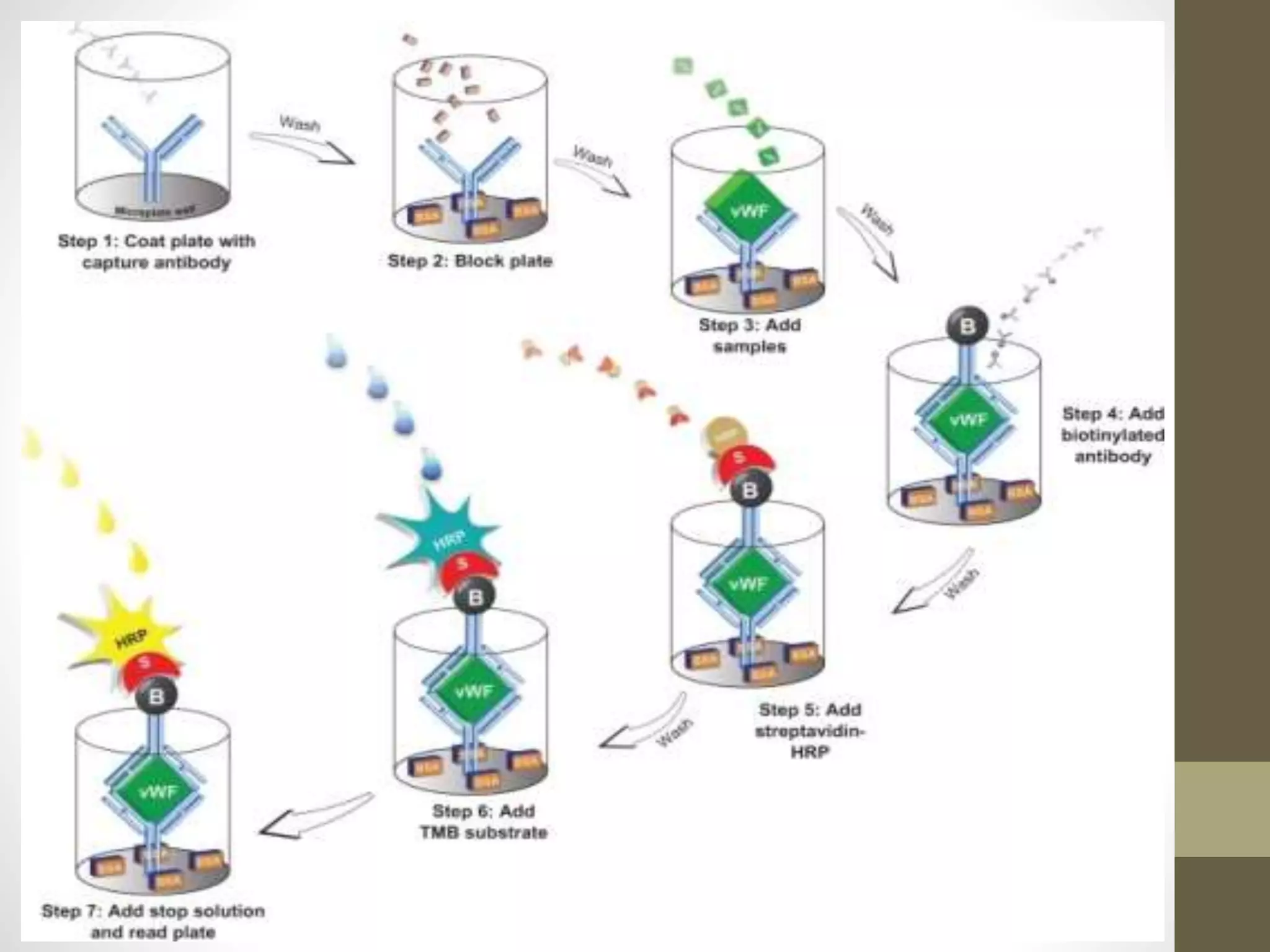Principles And Applications Of Elisa Ppt Chemistry Science