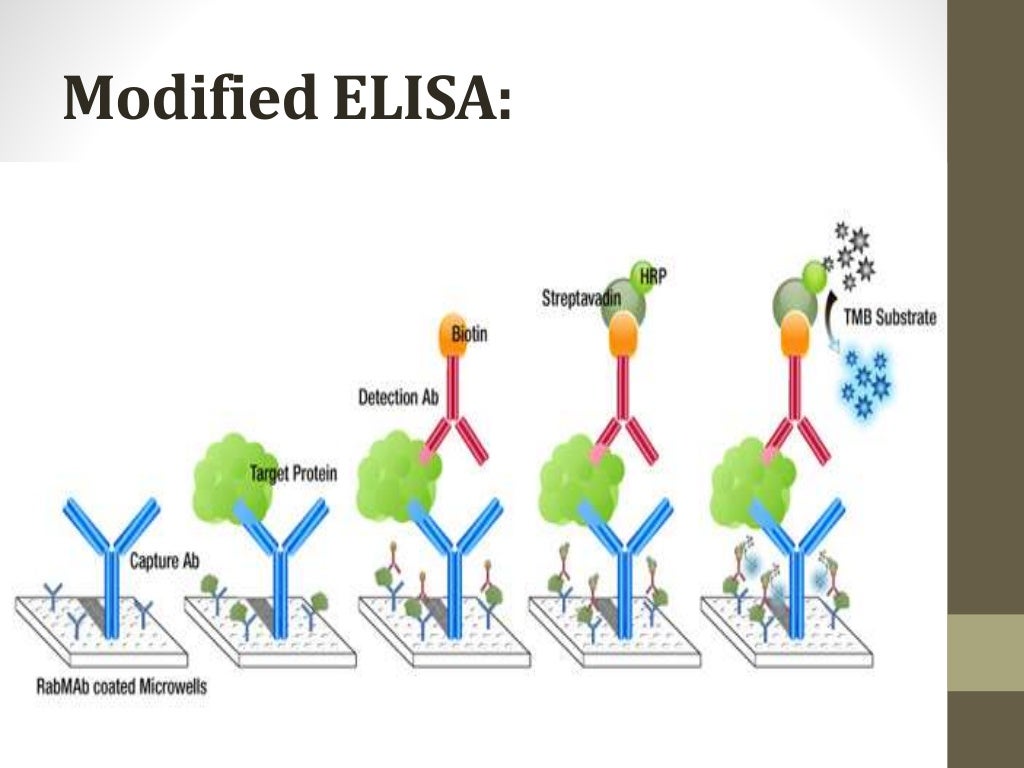 Elisa ppt