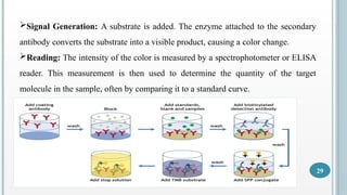 ELISA PPT in detail enzyme linked immunosorbent assay | PPTX