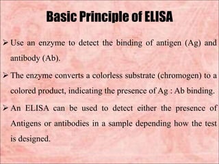 Basic Principle of ELISA
 Use an enzyme to detect the binding of antigen (Ag) and
antibody (Ab).
 The enzyme converts a colorless substrate (chromogen) to a
colored product, indicating the presence of Ag : Ab binding.
 An ELISA can be used to detect either the presence of
Antigens or antibodies in a sample depending how the test
is designed.
 