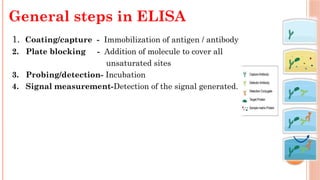 1. Coating/capture - Immobilization of antigen / antibody
2. Plate blocking - Addition of molecule to cover all
unsaturated sites
3. Probing/detection- Incubation
4. Signal measurement-Detection of the signal generated.
General steps in ELISA
 