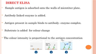 DIRECT ELISA
 Sample antigen is adsorbed onto the walls of microtiter plate.
 Antibody linked enzyme is added.
 Antigen present in sample binds to antibody- enzyme complex.
 Substrate is added for colour change
 The colour intensity is proportional to the antigen concentration
 