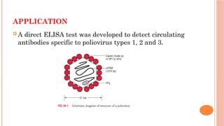 APPLICATION
 A direct ELISA test was developed to detect circulating
antibodies specific to poliovirus types 1, 2 and 3.
 