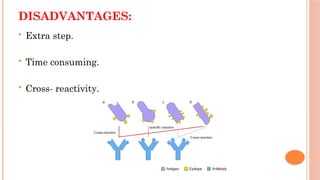 DISADVANTAGES:
 Extra step.
 Time consuming.
 Cross- reactivity.
 