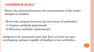SANDWICH ELISA
 Detect the presence/measure the concentration of the target
antigen in samples.
 Detect the antigens between the two layers of antibodies
1) Capture antibody (polyclonal)
2) Detection antibody (monoclonal )
Antigens to be measured must also have at least two non-
overlapping epitopes capable of binding to two antibodies.
 