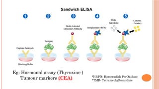Eg: Hormonal assay (Thyroxine )
Tumour markers (CEA) *HRPO- Horseradish PerOxidase
*TMB- Tetramethylbenzidine
 