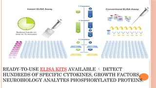 READY-TO-USE ELISA KITS AVAILABLE  DETECT
HUNDREDS OF SPECIFIC CYTOKINES, GROWTH FACTORS,
NEUROBIOLOGY ANALYTES PHOSPHORYLATED PROTEINS.
 