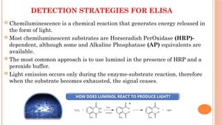 DETECTION STRATEGIES FOR ELISA
 Chemiluminescence is a chemical reaction that generates energy released in
the form of light.
 Most chemiluminescent substrates are Horseradish PerOxidase (HRP)-
dependent, although some and Alkaline Phosphatase (AP) equivalents are
available.
 The most common approach is to use luminol in the presence of HRP and a
peroxide buffer.
 Light emission occurs only during the enzyme-substrate reaction, therefore
when the substrate becomes exhausted, the signal ceases.
 