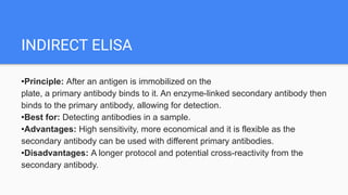 INDIRECT ELISA
•Principle: After an antigen is immobilized on the
plate, a primary antibody binds to it. An enzyme-linked secondary antibody then
binds to the primary antibody, allowing for detection.
•Best for: Detecting antibodies in a sample.
•Advantages: High sensitivity, more economical and it is flexible as the
secondary antibody can be used with different primary antibodies.
•Disadvantages: A longer protocol and potential cross-reactivity from the
secondary antibody.
 