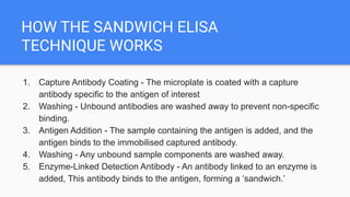 HOW THE SANDWICH ELISA
TECHNIQUE WORKS
1. Capture Antibody Coating - The microplate is coated with a capture
antibody specific to the antigen of interest
2. Washing - Unbound antibodies are washed away to prevent non-specific
binding.
3. Antigen Addition - The sample containing the antigen is added, and the
antigen binds to the immobilised captured antibody.
4. Washing - Any unbound sample components are washed away.
5. Enzyme-Linked Detection Antibody - An antibody linked to an enzyme is
added, This antibody binds to the antigen, forming a ‘sandwich.’
 