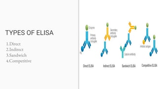 TYPES OF ELISA
1.Direct
2.Indirect
3.Sandwich
4.Competitive
 