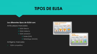 TIPOS DE ELISA
Los diferentes tipos de ELISA son:
Anticuerpos marcados:
 ELISA Directo
 ELISA Indirecto
 ELISA sándwich
 Doble (DAS)
 Heterólogo (HADAS)
Antígeno marcado:
o ELISA competitivo
 