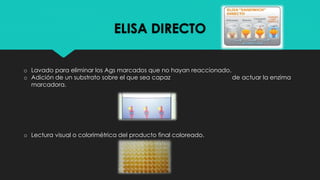 ELISA DIRECTO
o Lavado para eliminar los Ags marcados que no hayan reaccionado.
o Adición de un substrato sobre el que sea capaz de actuar la enzima
marcadora.
o Lectura visual o colorimétrica del producto final coloreado.
 
