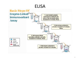 immunological assays - ELISA and RIA | PPTX