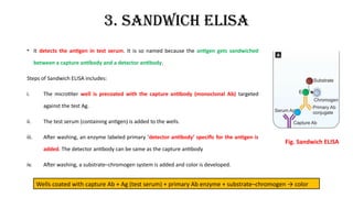 Enzyme linked Immunosorbent Assay (ELISA) & Radio Immunoassay (RIA).pptx