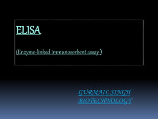 ELISA
(Enzyme-linked immunosorbent assay )
GURMAIL SINGH
BIOTECHNOLOGY
 