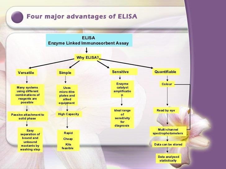 Elisa seminar final2