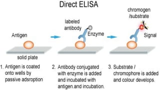 ELISA TEST types and applications, advantages | PPTX