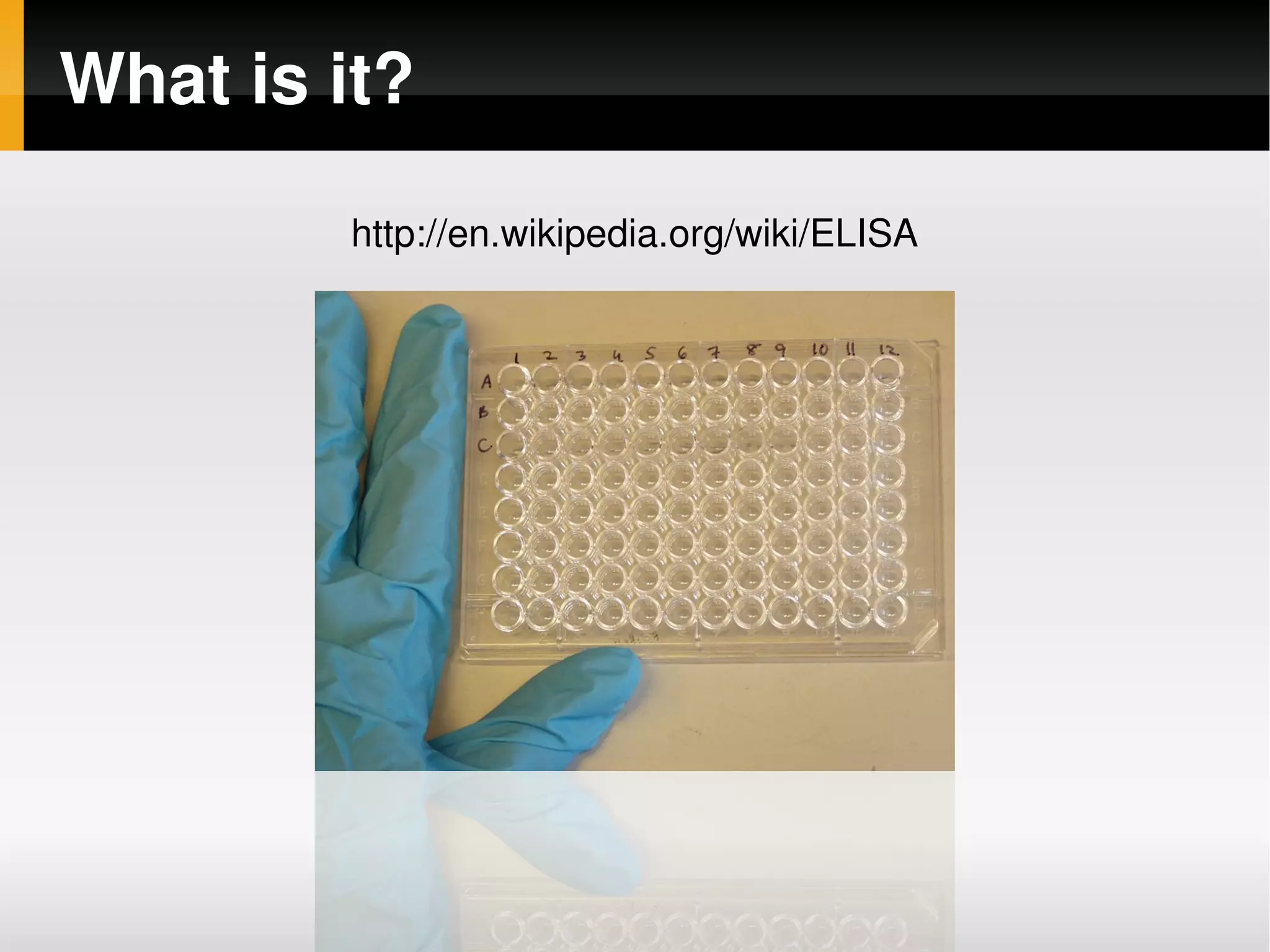 Elisator slides for Maemo Summit 2008