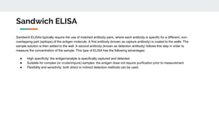 Sandwich ELISA
Sandwich ELISAs typically require the use of matched antibody pairs, where each antibody is specific for a different, non-
overlapping part (epitope) of the antigen molecule. A first antibody (known as capture antibody) is coated to the wells. The
sample solution is then added to the well. A second antibody (known as detection antibody) follows this step in order to
measure the concentration of the sample. This type of ELISA has the following advantages:
● High specificity: the antigen/analyte is specifically captured and detected
● Suitable for complex (or crude/impure) samples: the antigen does not require purification prior to measurement
● Flexibility and sensitivity: both direct or indirect detection methods can be used
 