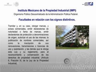 Instituto Mexicano de la Propiedad Industrial (IMPI)
Organismo Público Descentralizado de la Administración Pública Federal.

Facultades en relación con los signos distintivos.
Tramitar y, en su caso, otorgar marcas, y
avisos comerciales, emitir declaratorias de
notoriedad o fama de marcas, emitir
declaratorias de protección a denominaciones
de origen, autorizar el uso de las mismas; la
publicación de nombres comerciales, así
como
la
inscripción
de
sus
renovaciones, transmisiones o licencias de
uso y explotación, y las demás que le otorga
esta Ley y su reglamento, para el
reconocimiento y conservación de los
derechos de propiedad industrial. (Artículo
6, Fracción III, de la Ley de la Propiedad
Industrial).

 