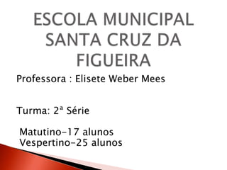 Professora : Elisete Weber Mees


Turma: 2ª Série

Matutino-17 alunos
Vespertino-25 alunos
 