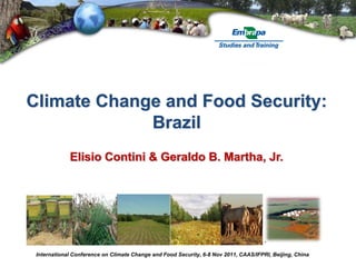 Climate Change and Food Security:
             Brazil
             Elisio Contini & Geraldo B. Martha, Jr.




 International Conference on Climate Change and Food Security, 6-8 Nov 2011, CAAS/IFPRI, Beijing, China
 