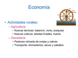 Economía Actividades rurales: Agricultura Nuevas técnicas: balancín, noria, acequias Nuevos cultivos: árboles frutales, huerta Ganadería Pastoreo nómada de ovejas y cabras Transporte: dromedarios, asnos y caballos 