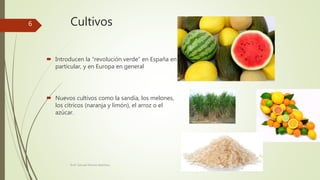 Cultivos
 Introducen la “revolución verde” en España en
particular, y en Europa en general
 Nuevos cultivos como la sandía, los melones,
los cítricos (naranja y limón), el arroz o el
azúcar.
Prof. Samuel Perrino Martínez.
6
 