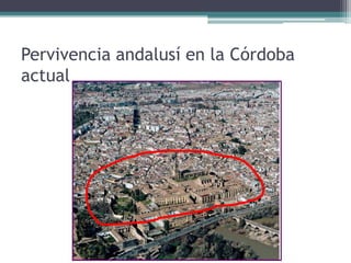 Pervivencia andalusí en la Córdoba
actual
 