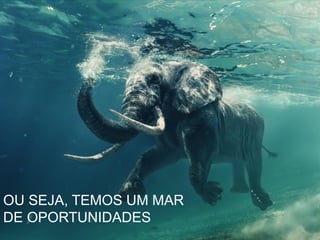 OU SEJA, TEMOS UM MAR
DE OPORTUNIDADES
 