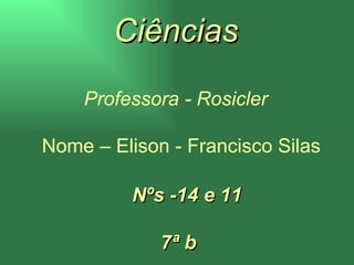 Professora - Rosicler   Nome – Elison - Francisco Silas     Nºs -14 e 11   7ª b Ciências 