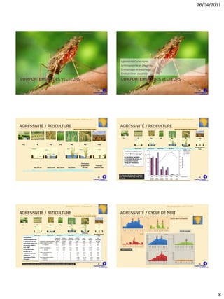 26/04/2011




                                                                           Atelier Paludisme 2011      ELISSA mars 2011                                                                                                                                                                                                                                                                         Atelier Paludisme 2011                                              ELISSA mars 2011




                                                                                                                                                 Agressivité Cycle repas
                                                                                                                                                 Anthropophilie et zoophilie
                                                                                                                                                 Endophagie et exophagie
                                                                                                                                                 Endophilie et exophilie

COMPORTEMENT DES VECTEURS                                                                                                                        COMPORTEMENT DES VECTEURS

                                                                                                                                 43                                                                                                                                                                                                                                                                                                                                                                                                 44




                                                                           Atelier Paludisme 2011      ELISSA mars 2011                                                                                                                                                                                                                                                                         Atelier Paludisme 2011                                              ELISSA mars 2011




AGRESSIVITÉ  RIZICULTURE                                                                                                                      AGRESSIVITÉ  RIZICULTURE
                                                                                          deux cycles de riziculture par an                                                                                                                                                                                                                                                                                            deux cycles de riziculture par an




                                                                                                                                                      -21 j                                                                0j                                           15j                                                             45j                                                                 80j                                                               90j                                                   120j



 -21 j                    0j                   15j              45j                80j                     90j                   120j
                                                                                                                                                                                                                                                                                                                                                                                                                                                              Diminution
                                                                                                                                                                                                                                                                                                                                                                                                                                                          progressive de l’eau                                                Drainage total de
                                                                                                                                                                                                                eau 2-4 cm                                    eau 3-8 cm                                               eau 5-8 cm                                                                        eau 10 cm                                                                                                                  l’eau
                                                                                                                                                               Variation mensuelle de la
                                                                                                                                                               densité agressive (m.a.) et
                                                                                                                                                               du taux de parturité (TP)
                                                                                                                                                               de Anopheles gambiae
                                                                                                                                                               en fonction des phases de
                                                                                                                                                               la riziculture dans le
                                                                                                      Diminution                                               village de Tiassalékro
                                                                                                      progressive            Drainage                          (Côte d’Ivoire).
                     eau 2-4 cm            eau 3-8 cm      eau 5-8 cm          eau 10 cm                de l’eau           total de l’eau



                                                                                                                                               Y.L. Konan, A.B. Koné, J.M.C. Doannio
                                                                                                                                 45            et al. Bull Soc Pathol Exot, 2009, 102,                                                                                                                                                                                                                                                                                                                                              46
                                                                                                                                               1, 26-30




                                                                           Atelier Paludisme 2011      ELISSA mars 2011                                                                                                                                                                                                                                                                         Atelier Paludisme 2011                                              ELISSA mars 2011




AGRESSIVITÉ  RIZICULTURE                                                                                                                      AGRESSIVITÉ  CYCLE DE NUIT
                                                                                          deux cycles de riziculture par an
                                                                                                                                                                                                                                                                                                                                                                                                           Zone semi-urbaine
                                                                                                                                                                                                                                          funestus                                                                                                                                        nili
                                                                                                                                                 70                                                                                                       7
                                                                                                                                                                                                                                                              *10
                                                                                                                                                 60                                                                                                       6
                                                                                                                                                 50                                                                                                       5
                                                                                                                                                 40                                                                                                       4
                                                                                                                                                 30                                                                                                       3
 -21 j                   0j                    15j              45j               80j                      90j                   120j            20                                                                                                       2
                                                                                                                                                 10                                                                                                       1
                                                                                                                                                  0                                                                                                       0
                                                                                                                                                       18/19

                                                                                                                                                                19/20

                                                                                                                                                                        20/21

                                                                                                                                                                                21/22

                                                                                                                                                                                        22/23

                                                                                                                                                                                                23/24

                                                                                                                                                                                                        00/01

                                                                                                                                                                                                                01/02

                                                                                                                                                                                                                        02/03




                                                                                                                                                                                                                                                05/06




                                                                                                                                                                                                                                                                18/19

                                                                                                                                                                                                                                                                         19/20

                                                                                                                                                                                                                                                                                  20/21

                                                                                                                                                                                                                                                                                            21/22

                                                                                                                                                                                                                                                                                                       22/23

                                                                                                                                                                                                                                                                                                                   23/24

                                                                                                                                                                                                                                                                                                                               00/01

                                                                                                                                                                                                                                                                                                                                               01/02

                                                                                                                                                                                                                                                                                                                                                               02/03




                                                                                                                                                                                                                                                                                                                                                                                                 05/06
                                                                                                                                                                                                                                03/04

                                                                                                                                                                                                                                        04/05




                                                                                                                                                                                                                                                                                                                                                                           03/04

                                                                                                                                                                                                                                                                                                                                                                                      04/05




                                                                                                                                                                                                                                                                                                                                                                                                                                                    Zone rurale
                                                                                                        Diminution                                                                                                                         gambiae
                                                                                                    progressive de l’eau   Drainage total de                                                                                                                                                                                                                                       funestus                                                                                                                         nili
                     eau 2-4 cm            eau 3-8 cm      eau 5-8 cm         eau 10 cm                                          l’eau
                                                                                                                                                 70
                                                                                                                                                                                                                                                        350                                                                                                                                                    350
                                                                                                                                                 60
                                                                                                                                                                                                                                                        300                                                                                                                                                    300
    Paramètres                                                                                                                                   50
                                                                                                                                                                                                                                                        250                                                                                                                                                    250
    entomologiques de                                                                                                                            40
                                                                                                                                                 30
                                                                                                                                                                                                                                                        200                                                                                                                                                    200
                                                                                                                                                                                                                                                        150                                                                                                                                                    150
    la transmission du                                                                                                                           20
                                                                                                                                                                                                                                                        100                                                                                                                                                    100
    paludisme observés                                                                                                                           10
                                                                                                                                                                                                                                                         50                                                                                                                                                       50
                                                                                                                                                  0                                                                                                       0                                                                                                                                                        0
    de janvier 2007 à
                                                                                                                                                       18/19

                                                                                                                                                                19/20

                                                                                                                                                                        20/21

                                                                                                                                                                                21/22

                                                                                                                                                                                        22/23

                                                                                                                                                                                                23/24

                                                                                                                                                                                                        00/01

                                                                                                                                                                                                                01/02

                                                                                                                                                                                                                        02/03




                                                                                                                                                                                                                                                05/06
                                                                                                                                                                                                                                03/04

                                                                                                                                                                                                                                        04/05




                                                                                                                                                                                                                                                                                                                                                                                                                        18/19

                                                                                                                                                                                                                                                                                                                                                                                                                                 19/20

                                                                                                                                                                                                                                                                                                                                                                                                                                          20/21

                                                                                                                                                                                                                                                                                                                                                                                                                                                   21/22

                                                                                                                                                                                                                                                                                                                                                                                                                                                            22/23

                                                                                                                                                                                                                                                                                                                                                                                                                                                                    23/24

                                                                                                                                                                                                                                                                                                                                                                                                                                                                            00/01
                                                                                                                                                                                                                                                                18/19

                                                                                                                                                                                                                                                                        19/20

                                                                                                                                                                                                                                                                                 20/21

                                                                                                                                                                                                                                                                                          21/22

                                                                                                                                                                                                                                                                                                    22/23

                                                                                                                                                                                                                                                                                                               23/24

                                                                                                                                                                                                                                                                                                                           00/01




                                                                                                                                                                                                                                                                                                                                                                                                                                                                                    01/02

                                                                                                                                                                                                                                                                                                                                                                                                                                                                                            02/03




                                                                                                                                                                                                                                                                                                                                                                                                                                                                                                                      05/06
                                                                                                                                                                                                                                                                                                                                       01/02

                                                                                                                                                                                                                                                                                                                                                   02/03




                                                                                                                                                                                                                                                                                                                                                                                        05/06




                                                                                                                                                                                                                                                                                                                                                                                                                                                                                                    03/04

                                                                                                                                                                                                                                                                                                                                                                                                                                                                                                            04/05
                                                                                                                                                                                                                                                                                                                                                                   03/04

                                                                                                                                                                                                                                                                                                                                                                              04/05




    juin 2007
    en fonction des                                                                                                                              Elissa non publié
    phases de la                                                                                                                                                                                                                                        350
                                                                                                                                                                                                                                                                                                                                                                                      gambiae
                                                                                                                                                                                                                                                                                                                                                                                                              350
                                                                                                                                                                                                                                                                                                                                                                                                                                                                                                              moucheti


    riziculture dans le                                                                                                                                                                                                                                 300                                                                                                                                                   300
                                                                                                                                                                                                                                                        250                                                                                                                                                   250
    village de                                                                                                                                                                                                                                          200                                                                                                                                                   200
    Tiassalékro (Côte                                                                                                                                                                                                                                   150                                                                                                                                                   150
                                                                                                                                                                                                                                                        100                                                                                                                                                   100
    d’Ivoire)                                                                                                                                                                                                                                            50                                                                                                                                                    50
                                                                                                                                                                                                                                                          0                                                                                                                                                       0
                                                                                                                                                                                                                                                                                                                                                                                                                       18/19

                                                                                                                                                                                                                                                                                                                                                                                                                                19/20

                                                                                                                                                                                                                                                                                                                                                                                                                                         20/21

                                                                                                                                                                                                                                                                                                                                                                                                                                                  21/22

                                                                                                                                                                                                                                                                                                                                                                                                                                                           22/23

                                                                                                                                                                                                                                                                                                                                                                                                                                                                    23/24

                                                                                                                                                                                                                                                                                                                                                                                                                                                                            00/01

                                                                                                                                                                                                                                                                                                                                                                                                                                                                                    01/02

                                                                                                                                                                                                                                                                                                                                                                                                                                                                                            02/03




                                                                                                                                                                                                                                                                                                                                                                                                                                                                                                                      05/06
                                                                                                                                                                                                                                                                18/19

                                                                                                                                                                                                                                                                        19/20

                                                                                                                                                                                                                                                                                 20/21

                                                                                                                                                                                                                                                                                          21/22

                                                                                                                                                                                                                                                                                                    22/23

                                                                                                                                                                                                                                                                                                               23/24

                                                                                                                                                                                                                                                                                                                           00/01

                                                                                                                                                                                                                                                                                                                                       01/02

                                                                                                                                                                                                                                                                                                                                                       02/03




                                                                                                                                                                                                                                                                                                                                                                                        05/06




                                                                                                                                                                                                                                                                                                                                                                                                                                                                                                    03/04

                                                                                                                                                                                                                                                                                                                                                                                                                                                                                                            04/05
                                                                                                                                                                                                                                                                                                                                                                   03/04

                                                                                                                                                                                                                                                                                                                                                                              04/05




   Y.L. Konan, A.B. Koné, J.M.C. Doannio et al. Bull Soc Pathol Exot, 2009, 102, 1, 26-30                                        47                                                                                                                                                                                                                                                                                                                                                                                                 48




                                                                                                                                                                                                                                                                                                                                                                                                                                                                                                                                                  8
 
