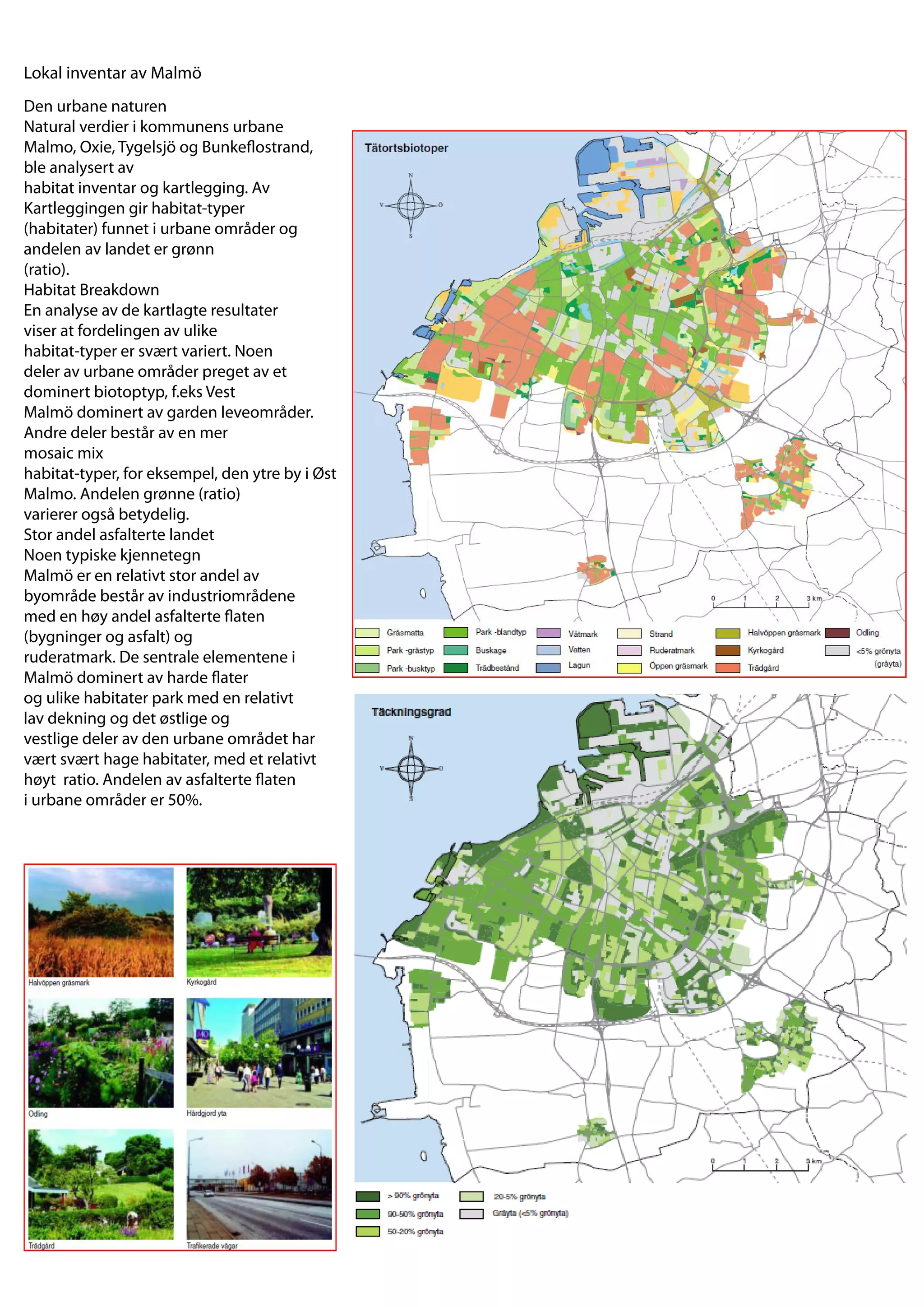 Lokal inventar av Malmö
Den urbane naturen
Natural verdier i kommunens urbane
Malmo, Oxie, Tygelsjö og Bunke ostrand,
ble analysert av
habitat inventar og kartlegging. Av
Kartleggingen gir habitat-typer
(habitater) funnet i urbane områder og
andelen av landet er grønn
(ratio).
Habitat Breakdown
En analyse av de kartlagte resultater
viser at fordelingen av ulike
habitat-typer er svært variert. Noen
deler av urbane områder preget av et
dominert biotoptyp, f.eks Vest
Malmö dominert av garden leveområder.
Andre deler består av en mer
mosaic mix
habitat-typer, for eksempel, den ytre by i Øst
Malmo. Andelen grønne (ratio)
varierer også betydelig.
Stor andel asfalterte landet
Noen typiske kjennetegn
Malmö er en relativt stor andel av
byområde består av industriområdene
med en høy andel asfalterte aten
(bygninger og asfalt) og
ruderatmark. De sentrale elementene i
Malmö dominert av harde ater
og ulike habitater park med en relativt
lav dekning og det østlige og
vestlige deler av den urbane området har
vært svært hage habitater, med et relativt
høyt ratio. Andelen av asfalterte aten
i urbane områder er 50%.
 