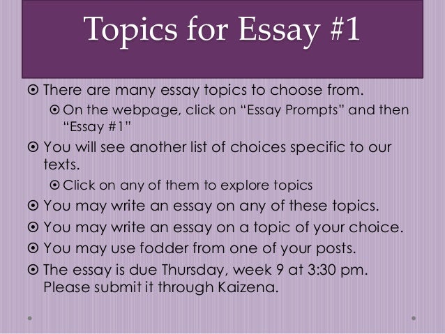 richard iii essay topics