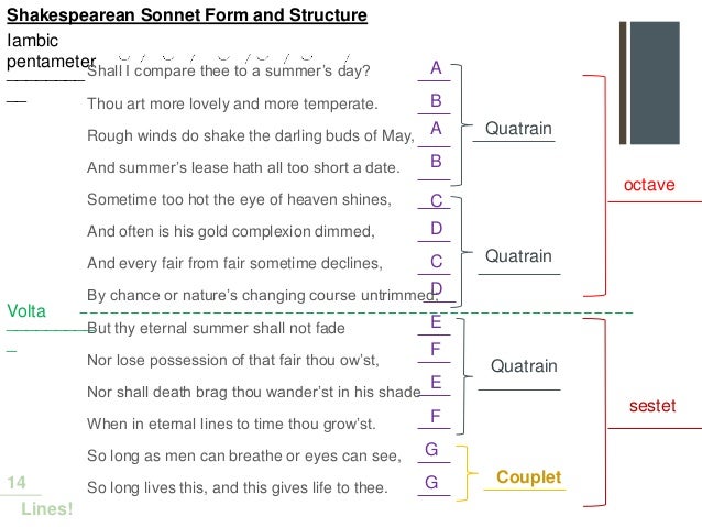 elit 17 class 4 n the sonnet english sonnet form