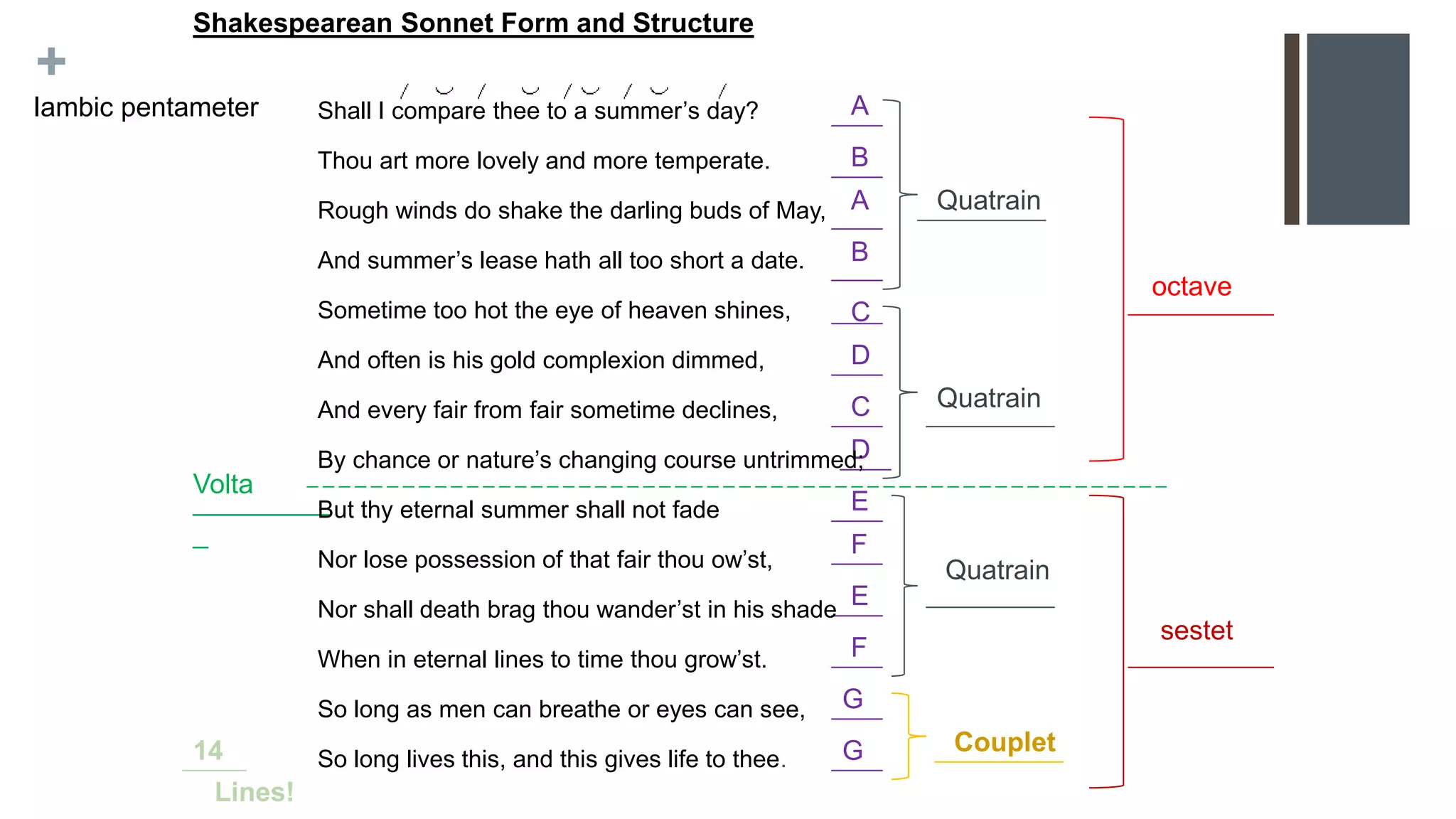 +
_________
_
Shakespearean Sonnet Form and Structure
Iambic pentameter A
B
B
A
C
C
D
D
E
E
F
F
G
G
Quatrain
Quatrain
Quatrain
Couplet
octave
sestet
Volta
Lines!
14
Shall I compare thee to a summer’s day?
Thou art more lovely and more temperate.
Rough winds do shake the darling buds of May,
And summer’s lease hath all too short a date.
Sometime too hot the eye of heaven shines,
And often is his gold complexion dimmed,
And every fair from fair sometime declines,
By chance or nature’s changing course untrimmed;
But thy eternal summer shall not fade
Nor lose possession of that fair thou ow’st,
Nor shall death brag thou wander’st in his shade
When in eternal lines to time thou grow’st.
So long as men can breathe or eyes can see,
So long lives this, and this gives life to thee.
 