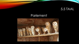 5.5 TAAL
Parlement
 