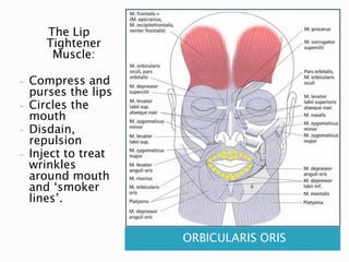 Botox Training PDF