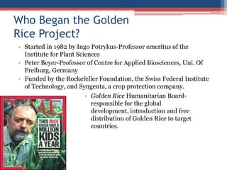 Who Began the Golden
Rice Project?
• Started in 1982 by Ingo Potrykus-Professor emeritus of the
Institute for Plant Sciences
• Peter Beyer-Professor of Centre for Applied Biosciences, Uni. Of
Freiburg, Germany
• Funded by the Rockefeller Foundation, the Swiss Federal Institute
of Technology, and Syngenta, a crop protection company.
• Golden Rice Humanitarian Board-
responsible for the global
development, introduction and free
distribution of Golden Rice to target
countries.
 