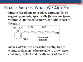 Goals: More is What We Aim For
• Mutate rice plants to produce carotenoids, or
organic pigments, specifically β-carotene (pro-
vitamin A) in the endosperm, the edible part of
the grain
Make Golden Rice accessible locally, free of
charge to farmers, who are able to grow, save,
consume, replant and locally sell Golden Rice
Vitamin A
(Retinol)
 