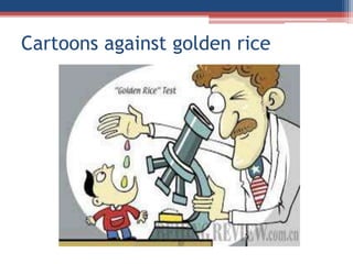 Cartoons against golden rice
 