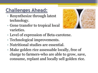 Challenges Ahead:
• Resynthesize through latest
technology.
• Gene transfer to tropical local
varieties.
• Level of expression of Beta-carotene.
• Technological improvements.
• Nutritional studies are essential.
• Make golden rice assessable locally, free of
charge to farmers-who are able to grow, save,
consume, replant and locally sell golden rice.
 