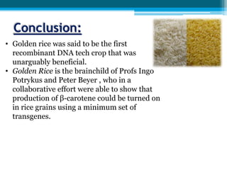 Conclusion:
• Golden rice was said to be the first
recombinant DNA tech crop that was
unarguably beneficial.
• Golden Rice is the brainchild of Profs Ingo
Potrykus and Peter Beyer , who in a
collaborative effort were able to show that
production of β-carotene could be turned on
in rice grains using a minimum set of
transgenes.
 